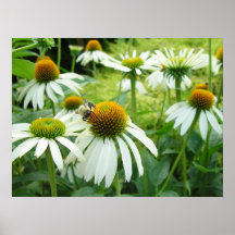 champ des fleurs et de l'affiche d'abeille