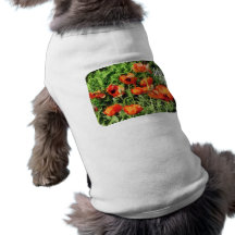Champ des pavots rouges vêtements pour chien