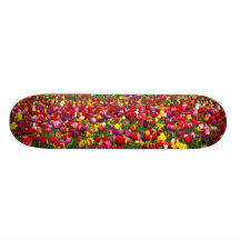 Champ des tulipes multicolores plateau de planche à roulettes