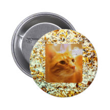 Champ d'or et d'argent badges