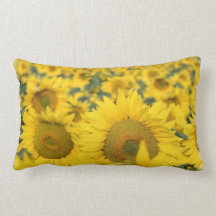Champ d'oreiller de tournesols