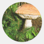 Champignon Autocollant