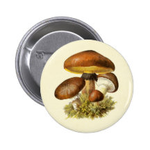 Champignon de cru de Brown Badges