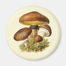 Champignon de cru de Brown Aimants Pour Réfrigérateur