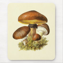 Champignon de cru de Brown Tapis De Souris