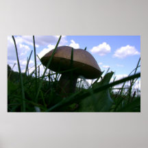 Champignon Posters
