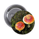 Champignon toxique badges