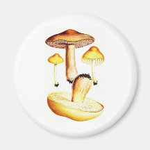 Champignons botaniques vintages magnets pour réfrigérateur