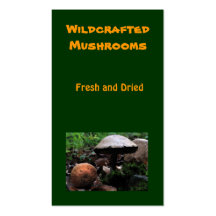 Champignons Modèles De Cartes De Visite