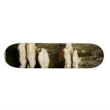 Champignons sur l'arbre plateau de planche à roulettes