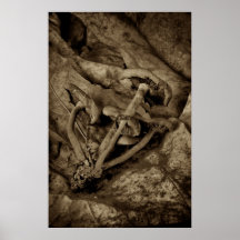 Champignons sur le feuille posters