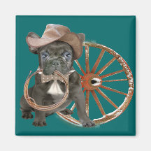 Champion de rodéo de bouledogue français magnets
