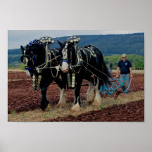 Championnat de labourage 2011 de cheval britanniqu posters