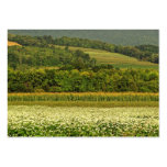 Champs d'ATC de grain Cartes De Visite Professionnelles