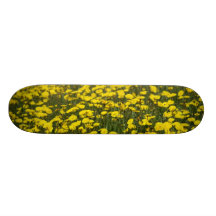 champs jaunes skateboard