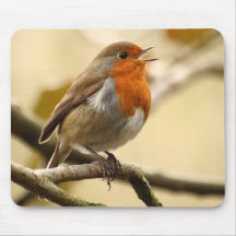 Chant Robin Tapis De Souris