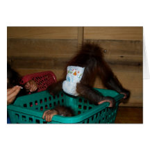 Chaos à l'école maternelle de bébé de jungle cartes de vœux