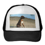 Chapeau Brindle de chiot de boxeur Casquette De Camionneur