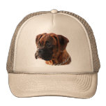 Chapeau Brindle de chiot de boxeur Casquettes De Camionneur