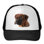 Chapeau Brindle de chiot de boxeur Casquettes De Camionneur