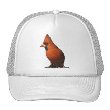 Chapeau cardinal casquette de camionneur
