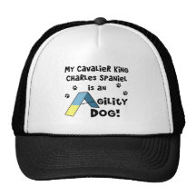 Chapeau cavalier de chien d'agilité d'épagneul du  casquettes