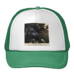 Chapeau de camionneur d'art de faune de gorille de casquettes