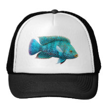 Chapeau de camionneur de Cichlid de Carpintis le T Casquette