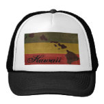 Chapeau de camionneur d'Hawaï Rasta Casquette