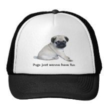 Chapeau de carlin casquette