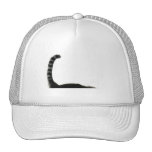 chapeau de chat casquettes de camionneur