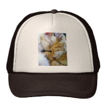 Chapeau de chatons de câlin casquette de camionneur