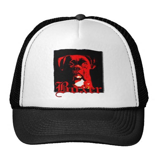 Chapeau de chien de boxeur casquettes