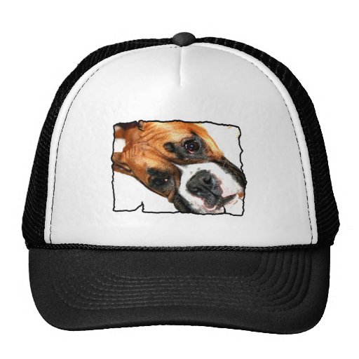 Chapeau de chien de boxeur casquettes
