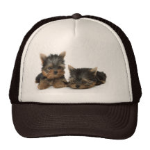 Chapeau de chiots de Yorkshire Terrier Casquettes