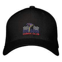 Chapeau de club de cobra de Houston Casquette De Baseball Brodée