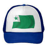 Chapeau de drapeau d'espéranto casquette de camionneur