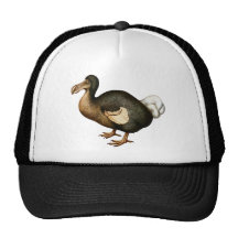 Chapeau de dronte casquettes