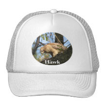 Chapeau de faucon casquettes de camionneur