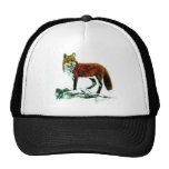 Chapeau de Fox Casquettes De Camionneur