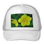 Chapeau de Hypericum Casquettes De Camionneur