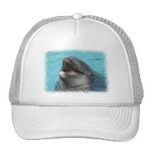 Chapeau de nageoire casquettes