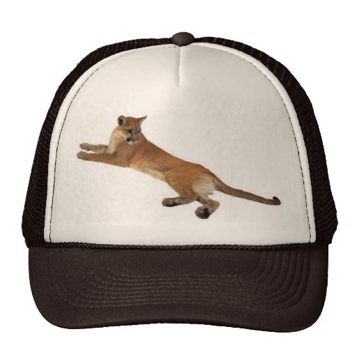 Chapeau de puma casquettes