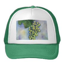 Chapeau de raisins de cuve de Chardonnay Casquettes De Camionneur