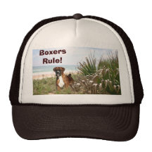 Chapeau de règle de boxeurs casquette