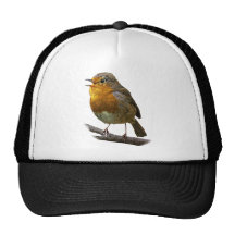 Chapeau de Robin Casquettes De Camionneur