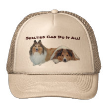 Chapeau de Shelties Casquettes De Camionneur