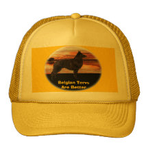 Chapeau de Terv de Belge Casquettes