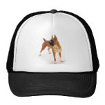 Chapeau debout de boxeur de faon casquettes de camionneur