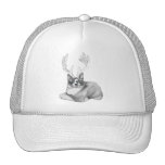 Chapeau du chat de Chardeer Casquette